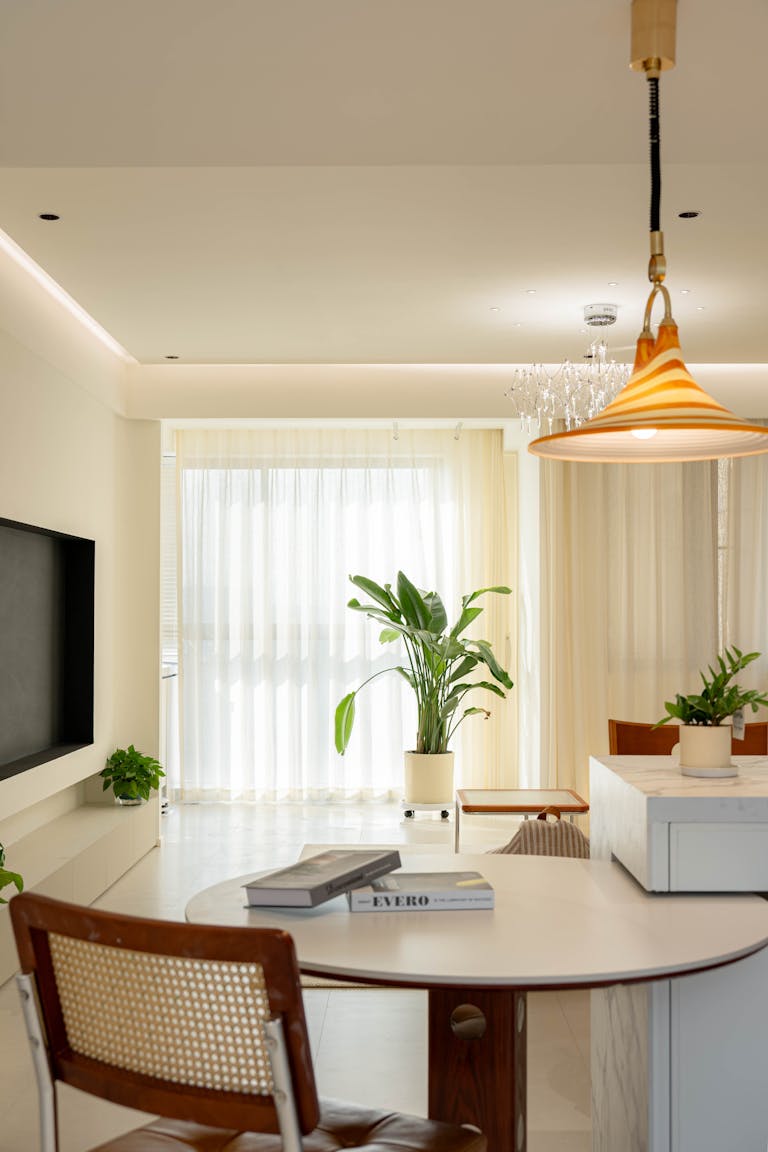 Bright and modern living room with elegant furniture and houseplants.