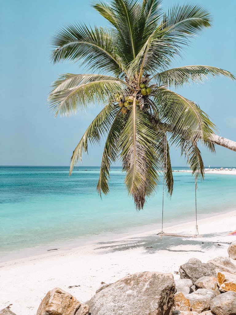 A serene tropical beach scene with a palm tree, turquoise sea, and clear sky perfect for relaxation.