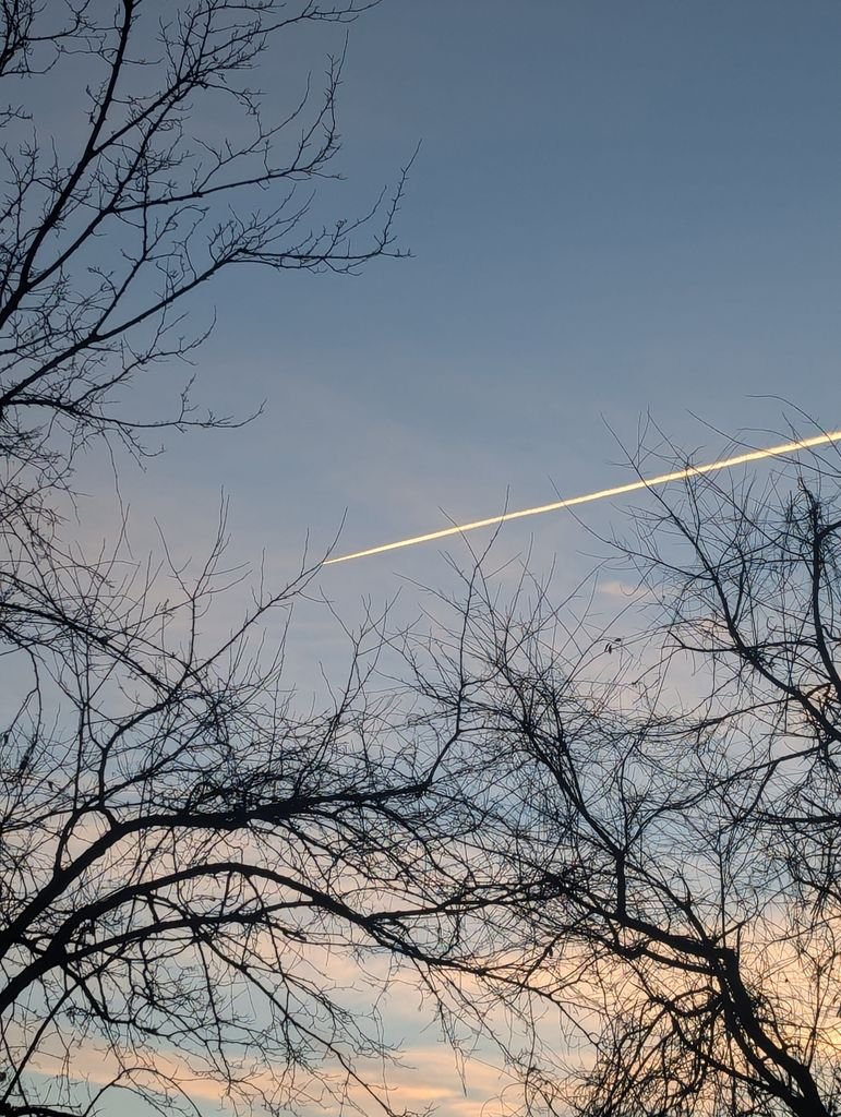 Bare winter trees with a jet contrail streaking across the blue and orange sunset sky.